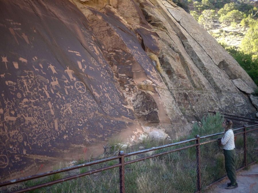 newspaper rock