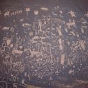 newspaper rock
