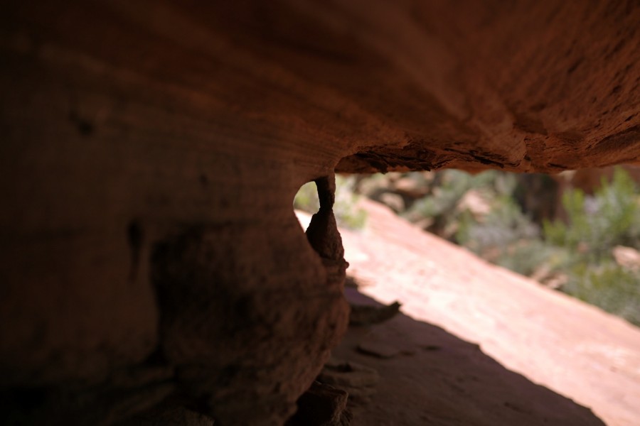 P1000762.JPG