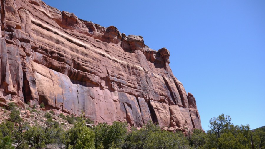 P1000619