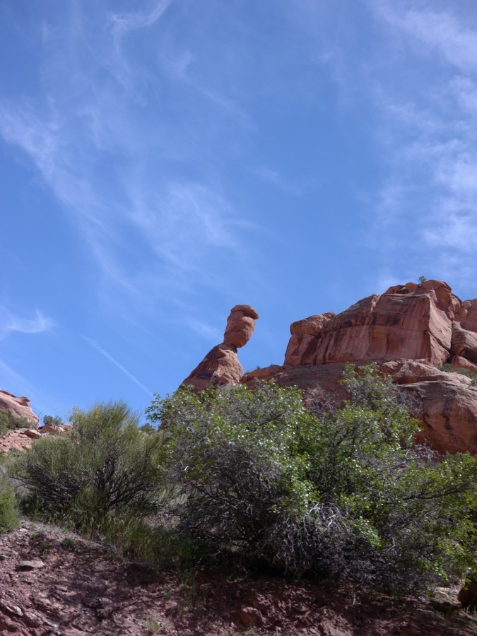 P1000645