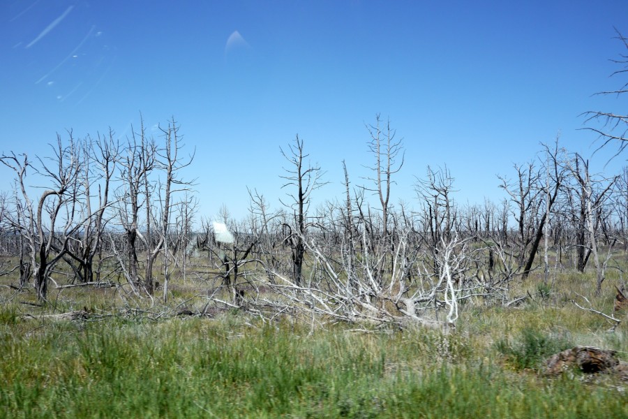 P1010169.JPG