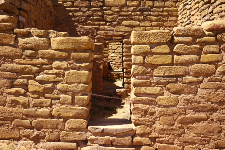 P1010216.JPG