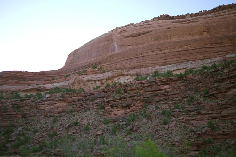 P1010238.JPG