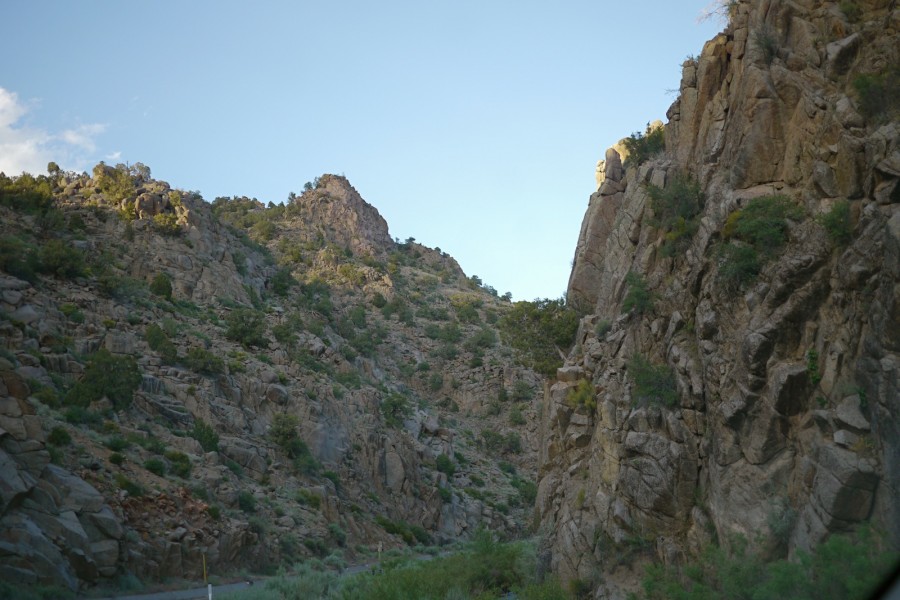 P1010253.JPG