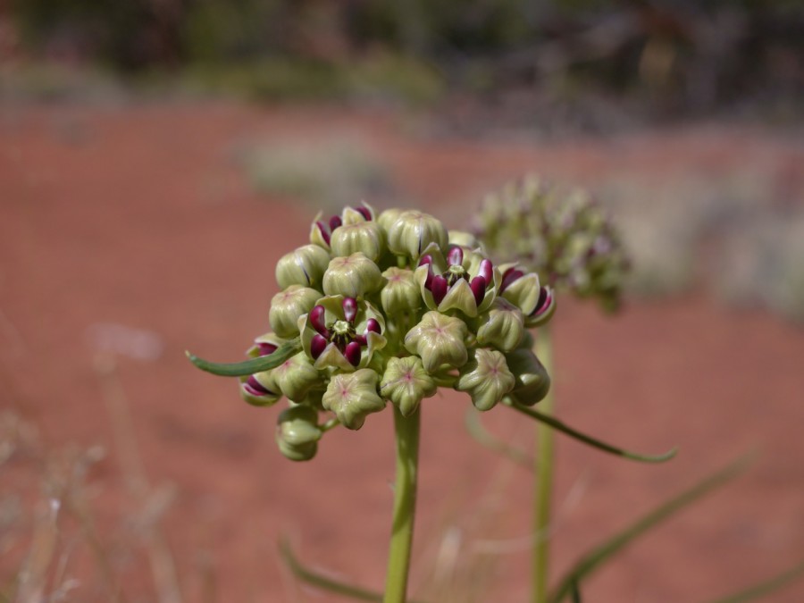 P1000695