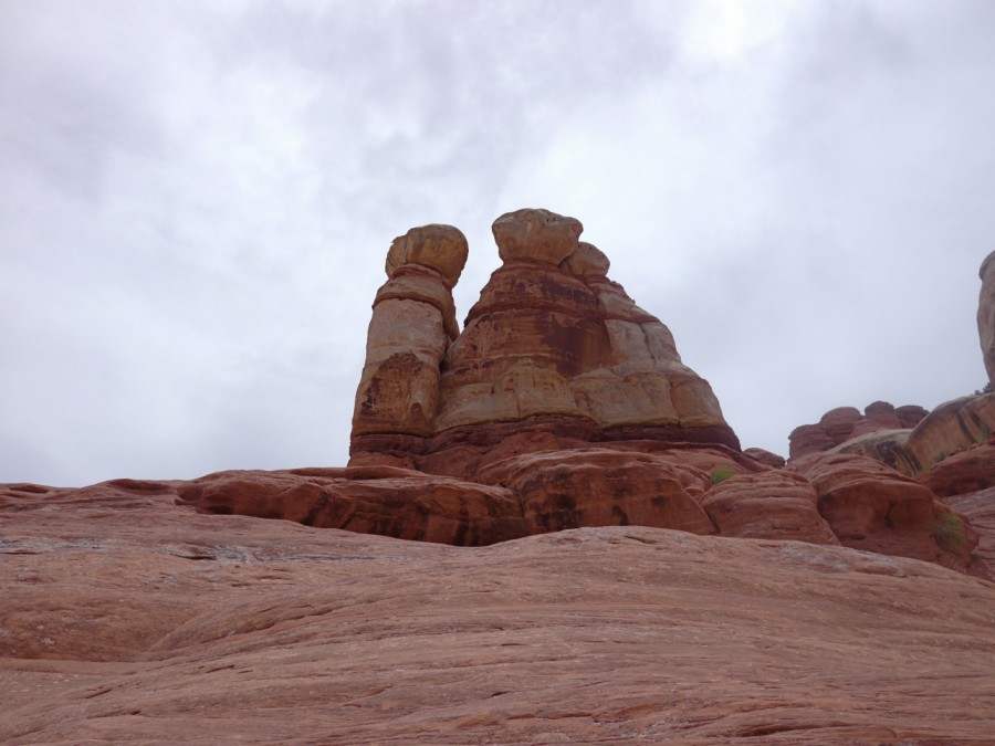 P1000711