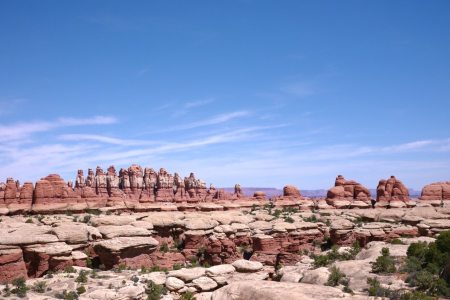 P1000826