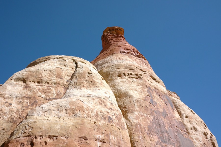P1000891