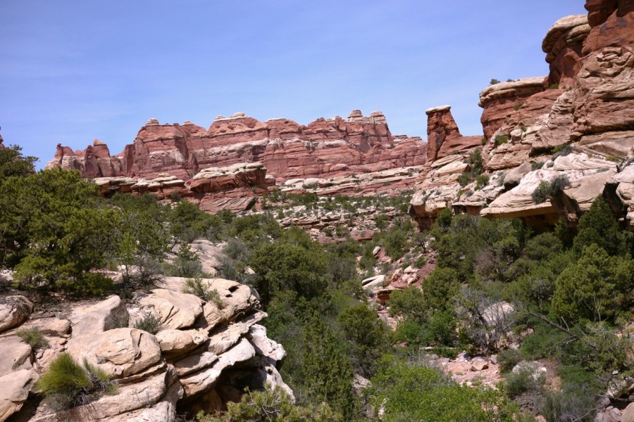 P1000906