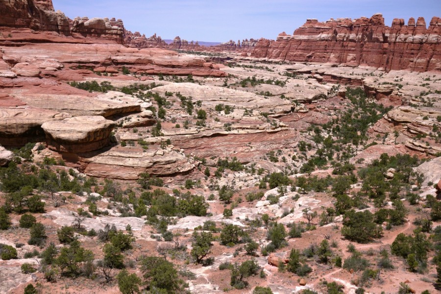 P1000912
