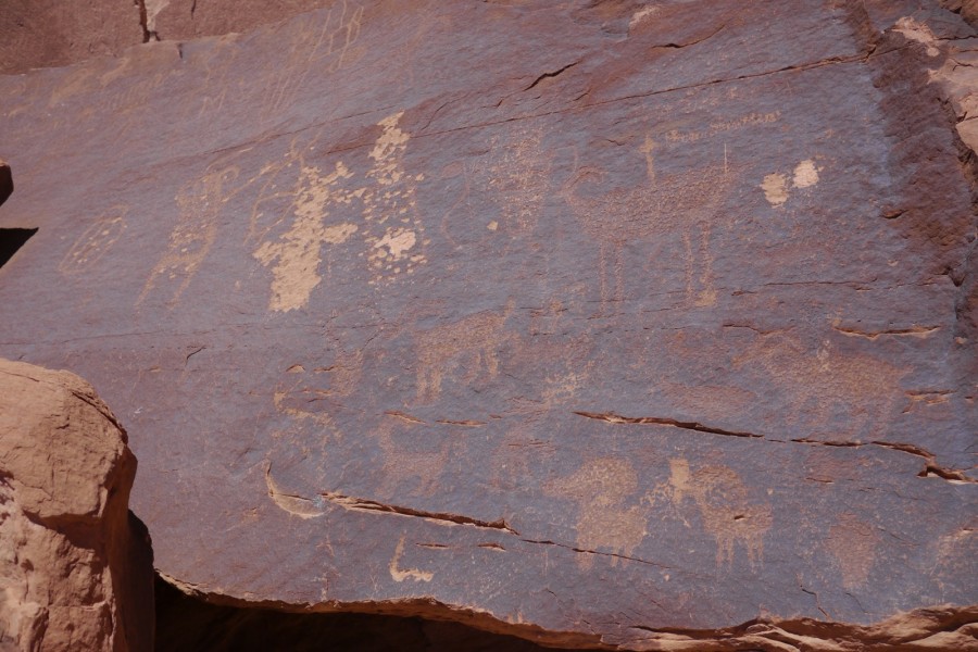 P1010102.JPG
