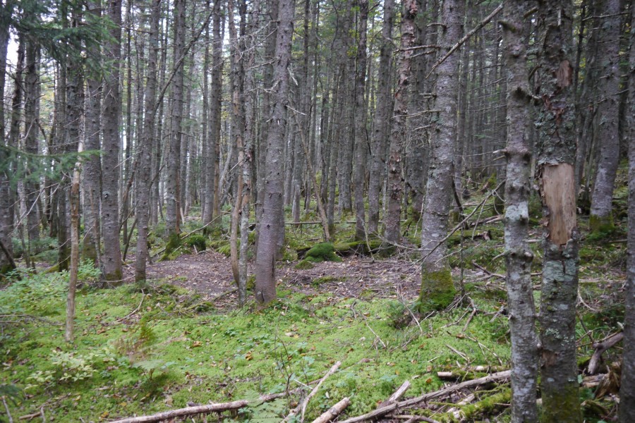 P1040008