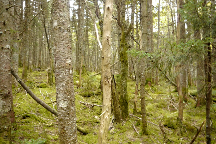 P1040009