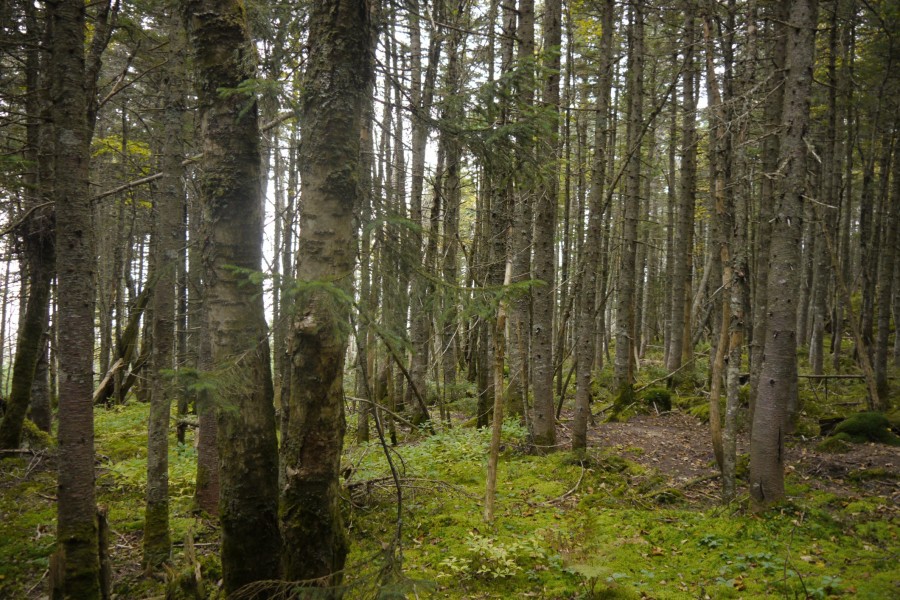 P1040011