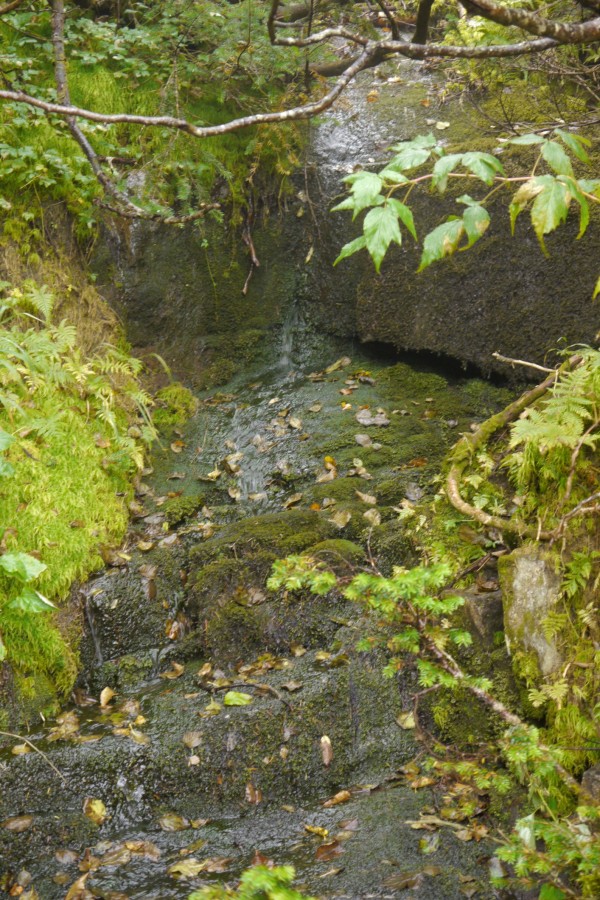 P1040050