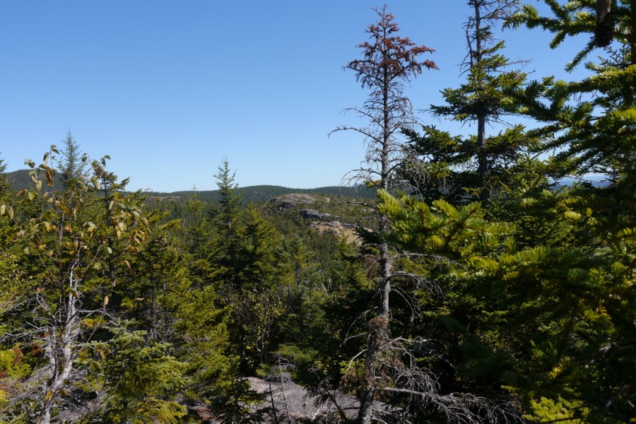 P1040086