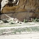 petroglyph barrier canyon sego P1010143