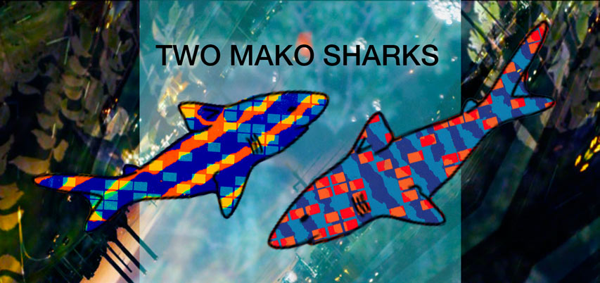 Two Mako Sharks